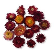 Szalma rózsa piros 15db/csomag – koszorúhoz, természetes dekorációhoz