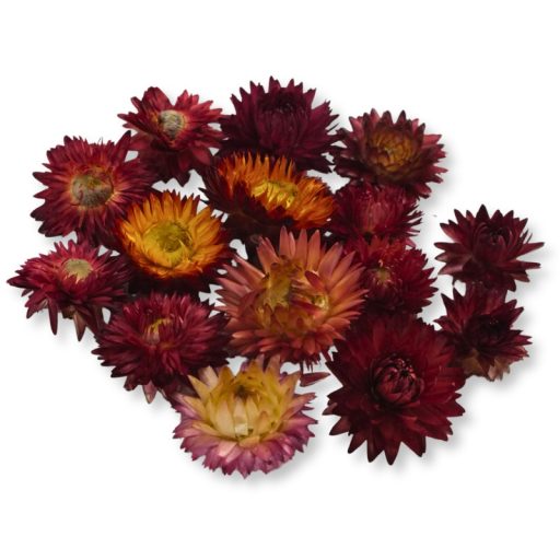 Szalma rózsa piros 15db/csomag – koszorúhoz, természetes dekorációhoz