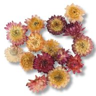 Szalma rózsa rózsaszín 15db/csomag – koszorúhoz, természetes dekorációhoz