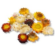 Szalma rózsa narancs 15db/csomag – koszorúhoz, természetes dekorációhoz