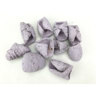 Lila csavart termés 10db/csomag – koszorúhoz, természetes dekorációhoz