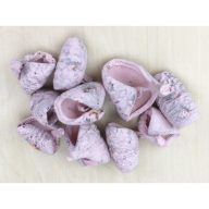 Rózsaszín csavart termés 10db/csomag – koszorúhoz, természetes dekorációhoz