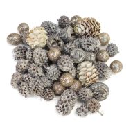 Advent terméscsomag hamvas – Szezonok, alkalmak