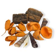 Narancs mediterrán terméscsomag – nyári dekorációhoz