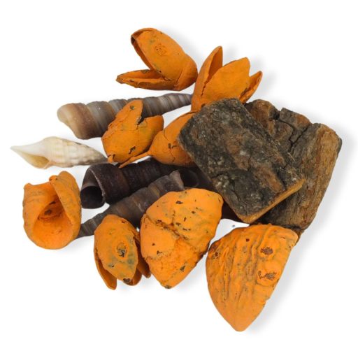 Narancs mediterrán terméscsomag – nyári dekorációhoz