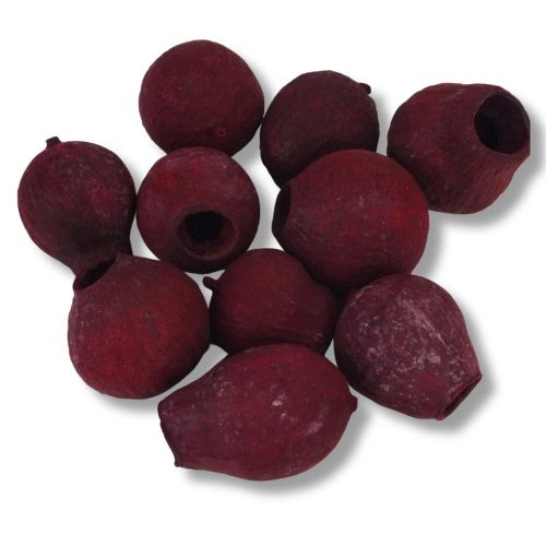 Eukalyptus Bell Gum Bordó