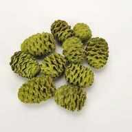 Cédrus toboz oliva 10db/csomag – koszorúhoz, természetes dekorációhoz