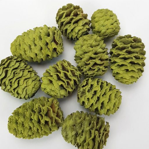 Cédrus toboz oliva 10db/csomag – koszorúhoz, természetes dekorációhoz