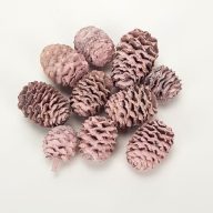 Cédrus toboz rózsaszín 10db/csomag – koszorúhoz, természetes dekorációhoz