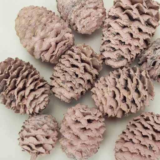 Cédrus toboz rózsaszín 10db/csomag – koszorúhoz, természetes dekorációhoz