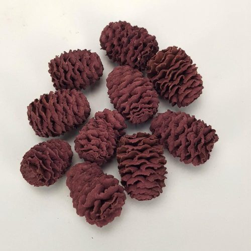 Cédrus toboz mályva 10db/csomag