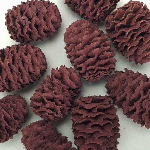 Cédrus toboz mályva 10db/csomag – koszorúhoz, természetes dekorációhoz