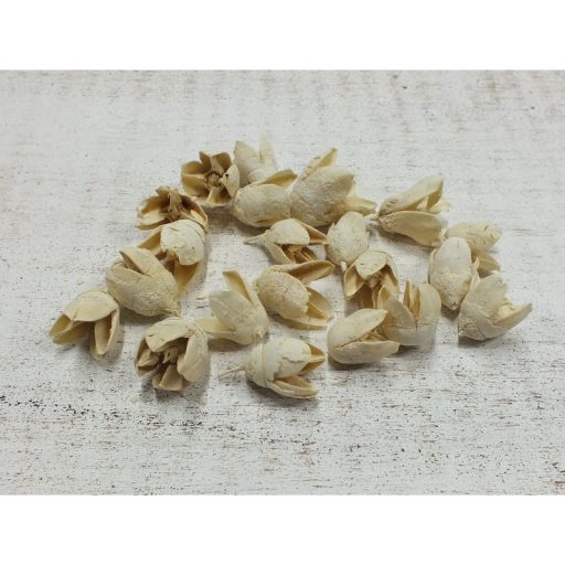 Bakuli fehérített termés 10db/csomag – őszi dekorációhoz