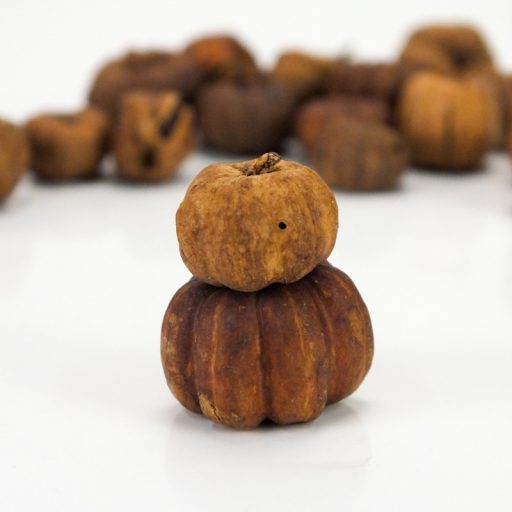 Tökbogyó barna 100 gramm/csom (kb. 320 db) - OKOSÁR! – koszorúhoz, természetes dekorációhoz