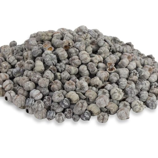 Tökbogyó hamvas 100gr - OKOSÁR! – koszorúhoz, természetes dekorációhoz