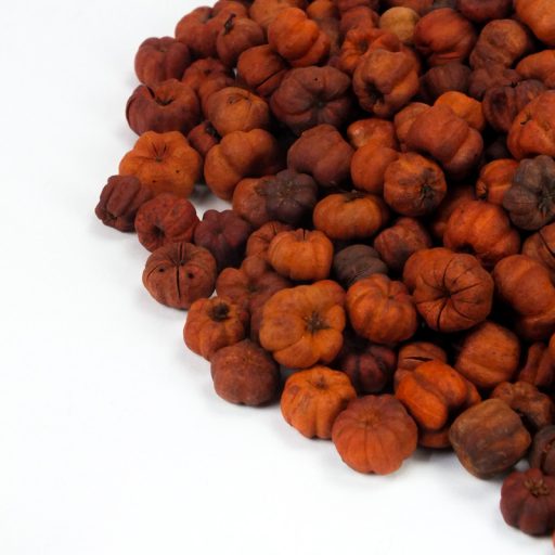 Tökbogyó narancs 100 gramm/csom (kb. 360 db) - OKOSÁR! – őszi dekorációhoz