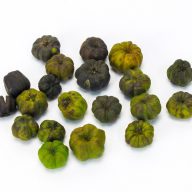 Tökbogyó zöld 20db/csomag – őszi dekorációhoz – Szezonok, alkalmak