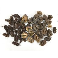 Terméscsomag forest – ajtódíszhez, koszorúalapnak – Szezonok, alkalmak