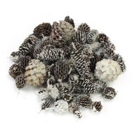 Terméscsomag winter – ajtódíszhez, koszorúalapnak – Szezonok, alkalmak