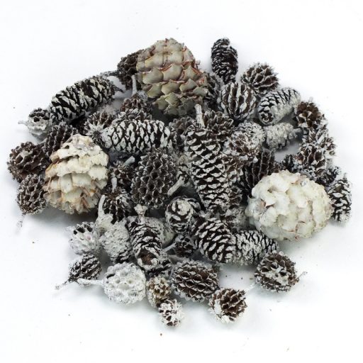 Terméscsomag winter – ajtódíszhez, koszorúalapnak – Szezonok, alkalmak