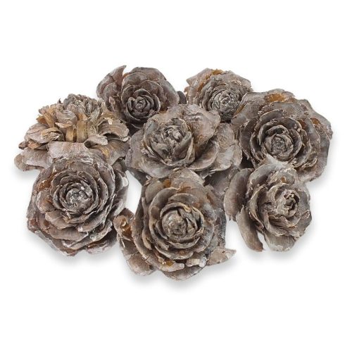 Cédrus rózsa vintage 8db/csomag