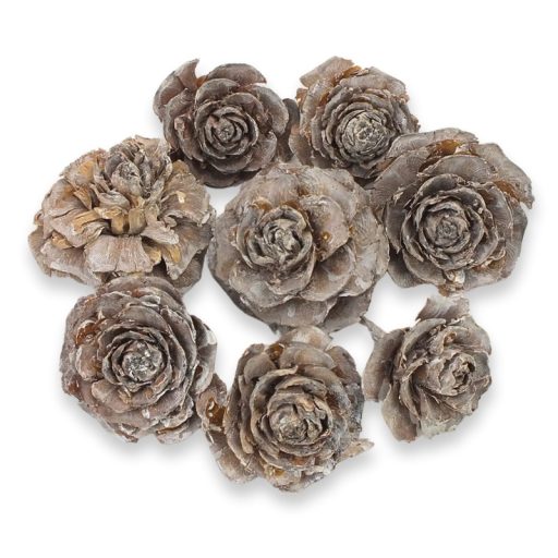 Cédrus rózsa vintage 8db/csomag – koszorúhoz, természetes dekorációhoz