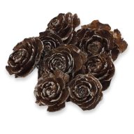 Cédrus rózsa havas 8db/csomag – koszorúhoz, természetes dekorációhoz