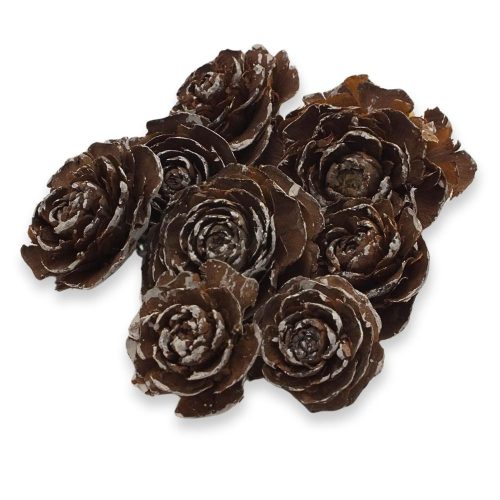 Cédrus rózsa havas 8db/csomag