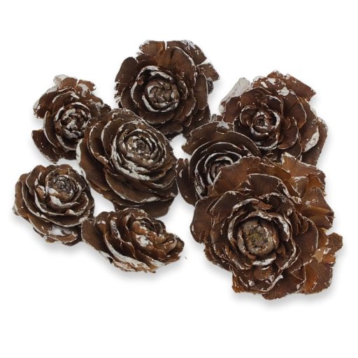 Cédrus rózsa havas 8db/csomag – koszorúhoz, természetes dekorációhoz