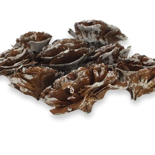 Cédrus rózsa havas 8db/csomag – koszorúhoz, természetes dekorációhoz