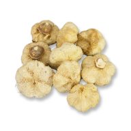 Termés fokhagyma kb 30g/csom – őszi dekorációhoz – Szezonok, alkalmak