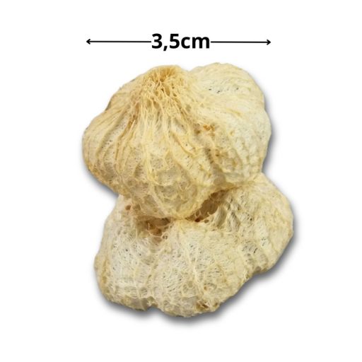 Termés fokhagyma kb 30g/csom – őszi dekorációhoz – Szezonok, alkalmak