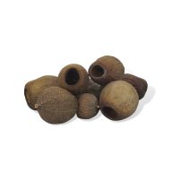 Eukalyptus Bell Gum natúr – koszorúhoz, természetes dekorációhoz