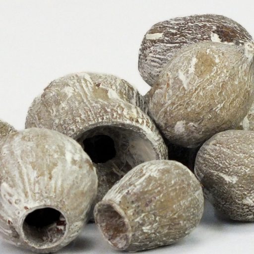 Eukalyptus Bell Gum zúzmarás – koszorúhoz, természetes dekorációhoz