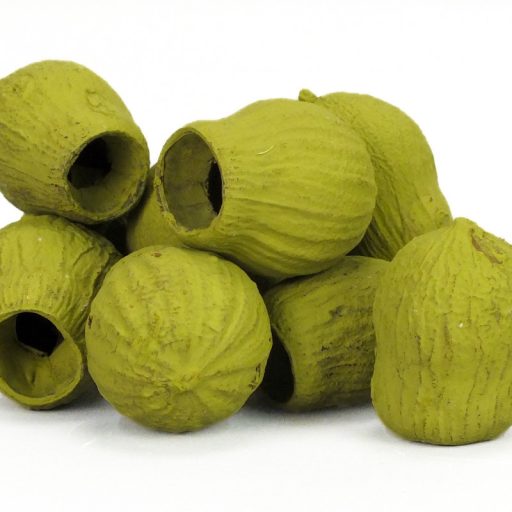 Eukalyptus Bell Gum Oliva – koszorúhoz, természetes dekorációhoz #1