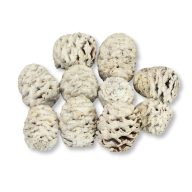 Toboz hamvas 10db/csomag – koszorúhoz, természetes dekorációhoz
