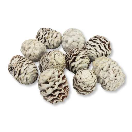 Toboz hamvas 10db/csomag – koszorúhoz, természetes dekorációhoz