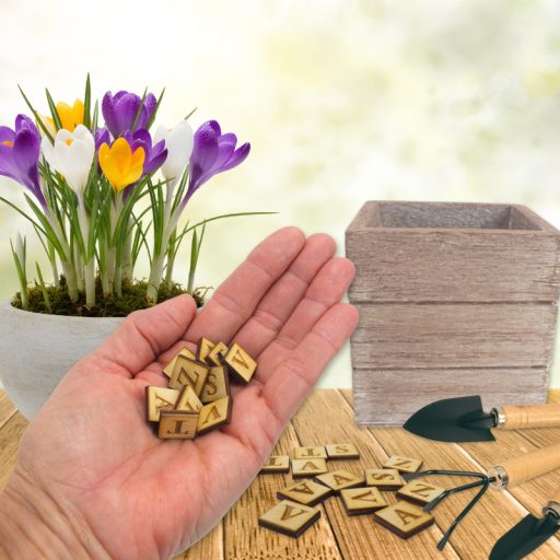 Natúr fa négyzetek - TAVASZ felirattal 2szett/csomag – festéshez, dekorációhoz