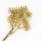 Csillámos szamárkenyér pick - arany - KIFUTÓ – koszorúhoz, természetes dekorációhoz
