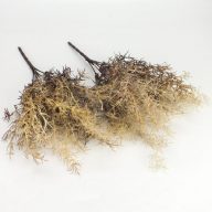   Szárazvirág hatású aszparágusz csokor dohánybarna 2db/csomag