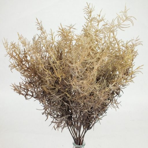 Szárazvirág hatású aszparágusz csokor dohánybarna 2db/csomag