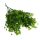 Csillagvirág csokor zöld 2db/csomag