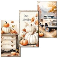 Nyomtatott dekorkarton - Fehér-narancs tök táblák 3db/csomag – őszi dekorációhoz