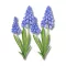 Nyomtatott dekorkarton - Muscari 2db/csomag – húsvéti dekorációhoz