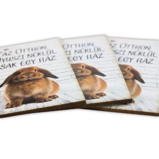 Nyomtatott dekorkarton - Az otthon nyuszi nélkül 3db/csomag – kreatív dekorációhoz