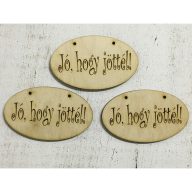 Natúr fa - "Jó, hogy jöttél!" tábla 3db/csomag – festéshez, dekorációhoz