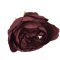 Beszúrós pünkösdi rózsa fej bordó 7cm – virágdekorációhoz, koszorúhoz