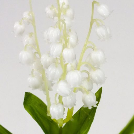 Szálas gyöngyvirág – virágdekorációhoz, koszorúhoz