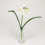 Szálas nárcisz 3 fejes fehér