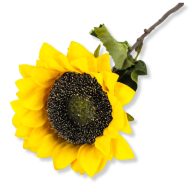 Szálas napraforgó 40cm – virágdekorációhoz, koszorúhoz